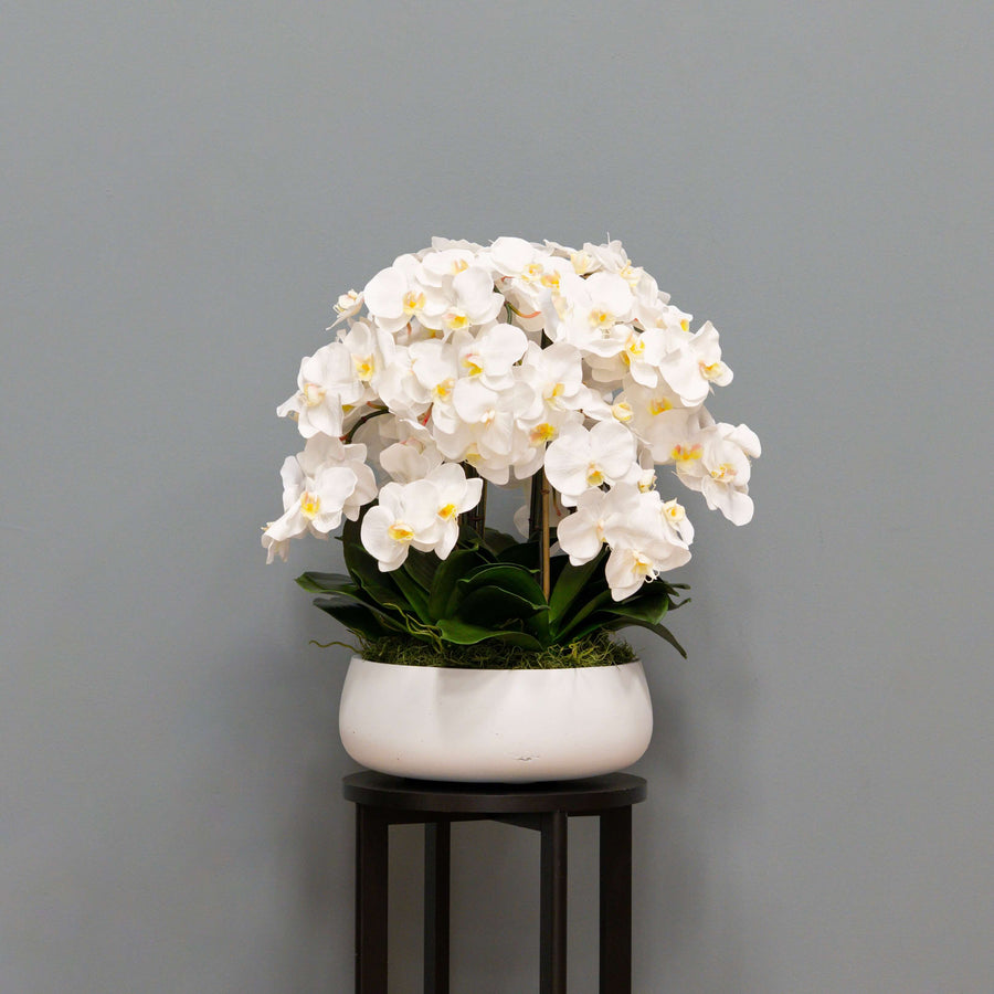 Airy White Orchid Arrangement