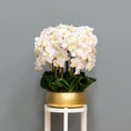 Load image into Gallery viewer, White Orchid Arrangement
