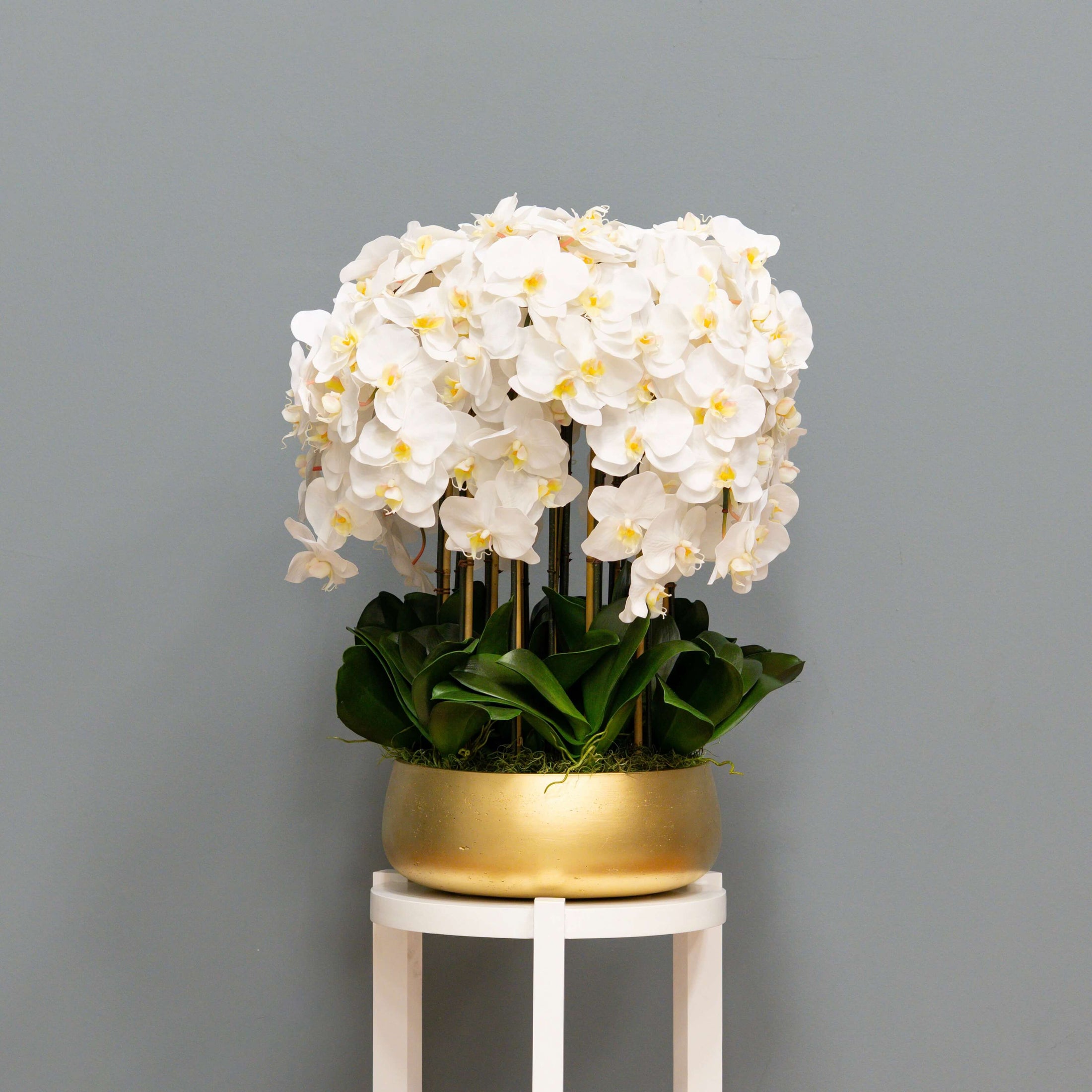 White Orchid Arrangement