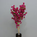 Fuchsia Bougainvillea Tree