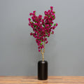 Fuchsia Bougainvillea Tree
