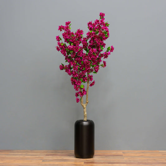Fuchsia Bougainvillea Tree