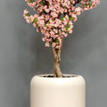 8 Foot Pink Cherry Blossom Tree