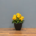 Premium Outdoor Rhododendron Florals