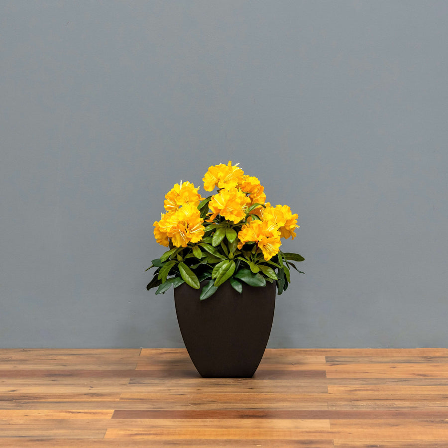 Premium Outdoor Rhododendron Florals