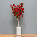 Red Bougainvillea Tree