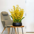 Load image into Gallery viewer, Dancing Lady Orchid Arrangement
