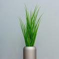 Load image into Gallery viewer, Outdoor Ready - Green Grasses
