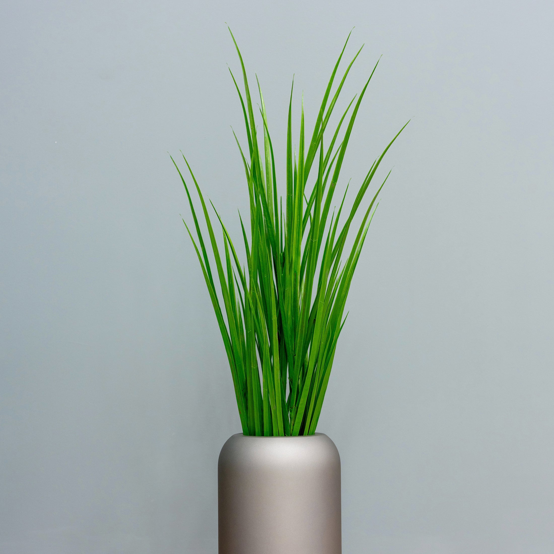 Outdoor Ready - Green Grasses