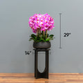 Lush Pink Orchid Arrangement