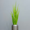Load image into Gallery viewer, Outdoor Ready - Green Grasses
