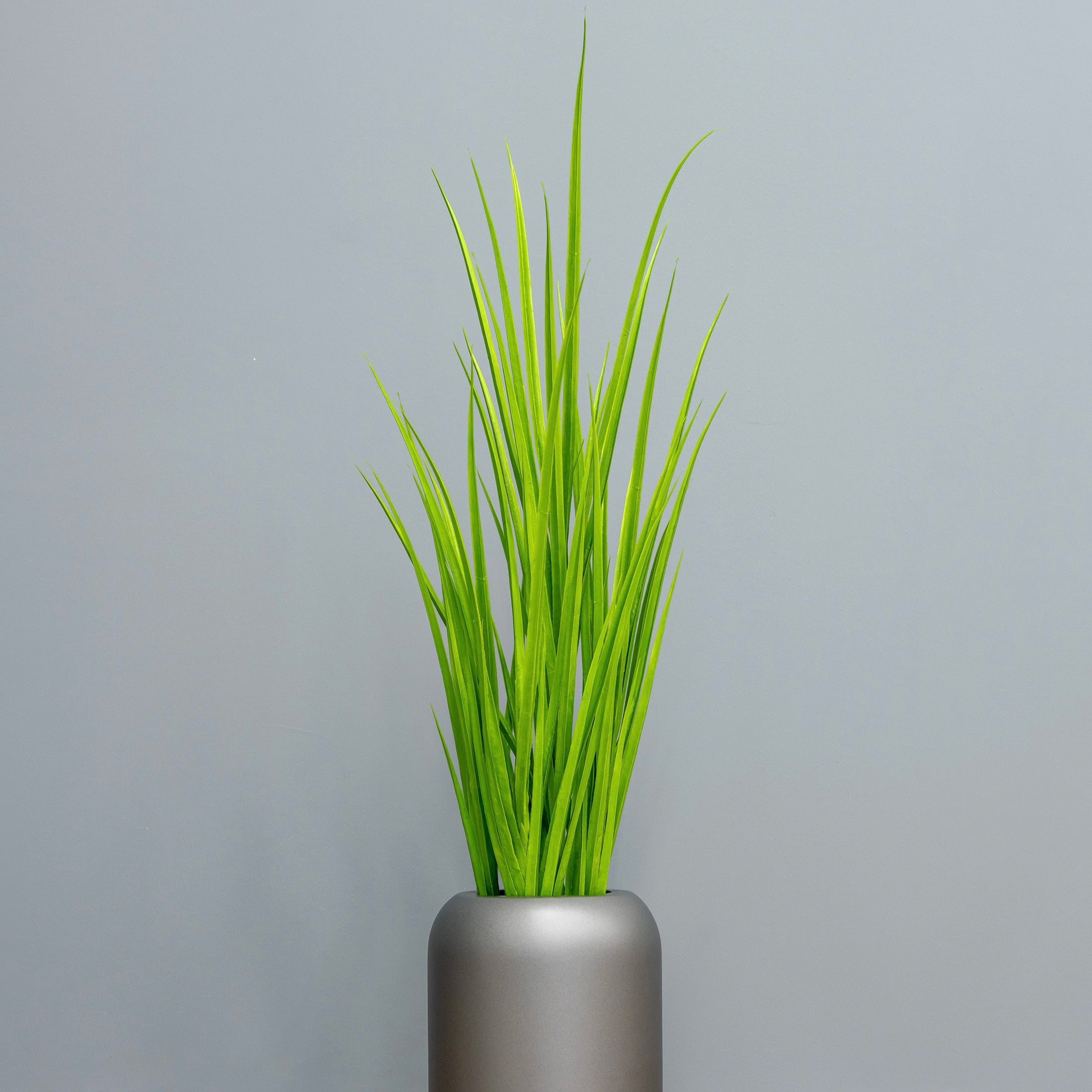 Outdoor Ready - Green Grasses