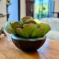 The Jade Crest