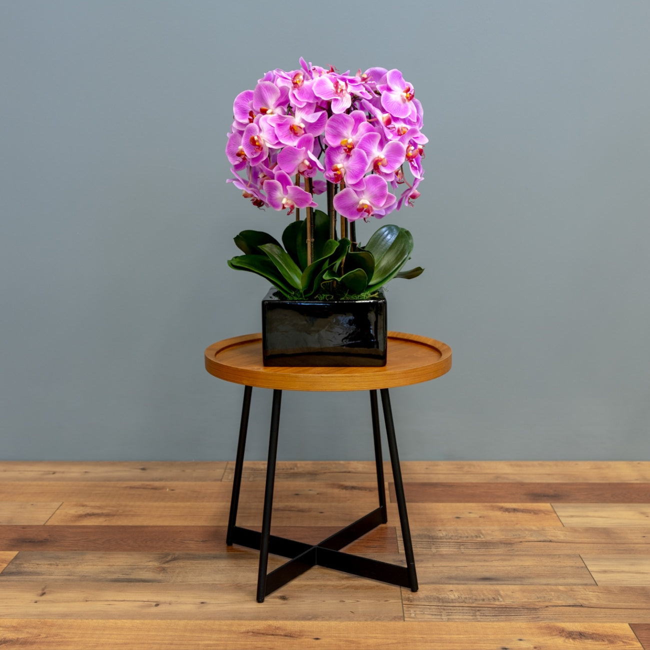 Pink Phalaenopsis Orchids – Black Vase