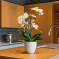 Load image into Gallery viewer, White Orchids - White Planter
