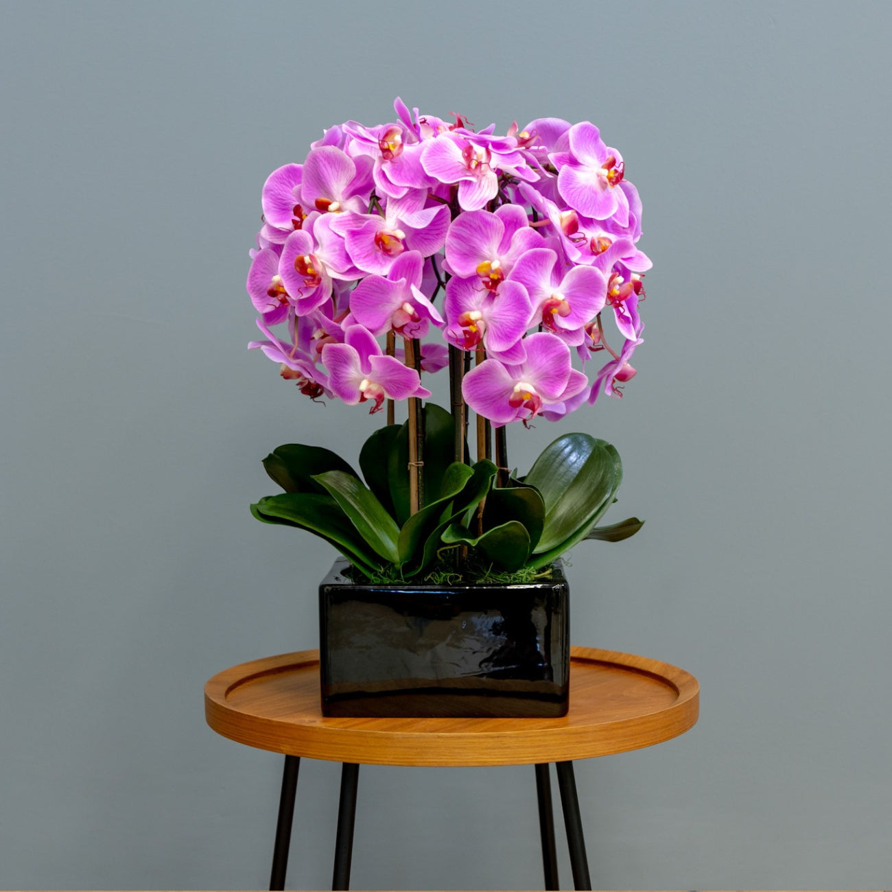 Pink Phalaenopsis Orchids – Black Vase