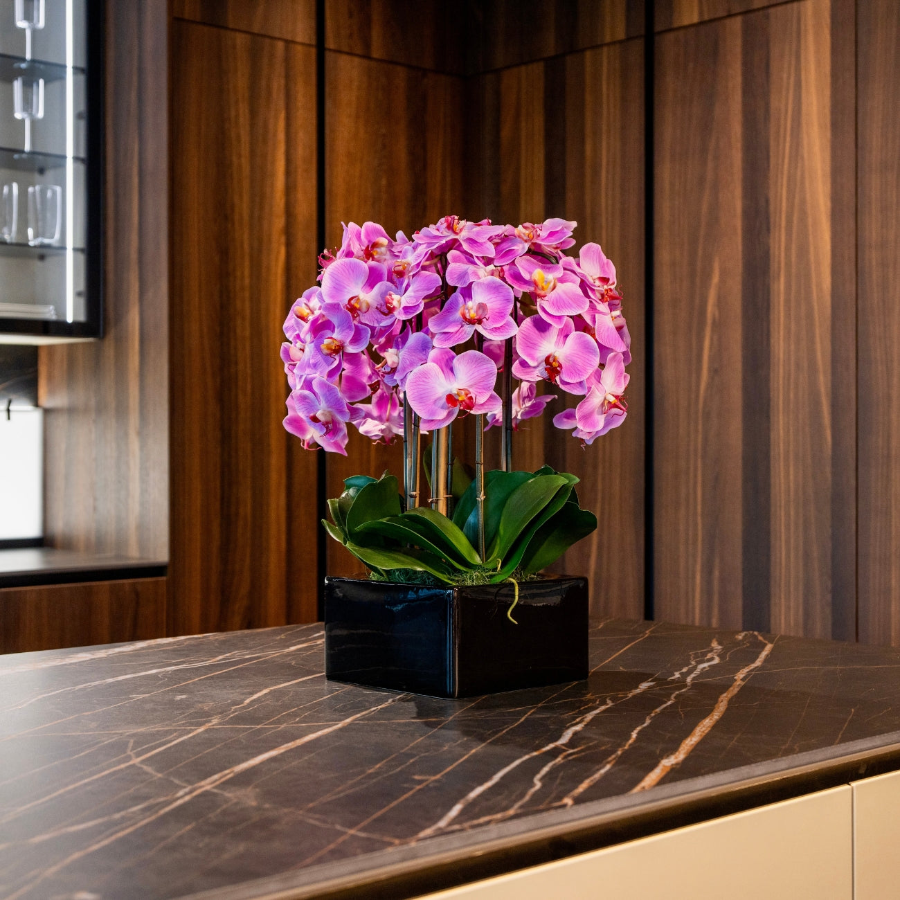 Pink Phalaenopsis Orchids – Black Vase