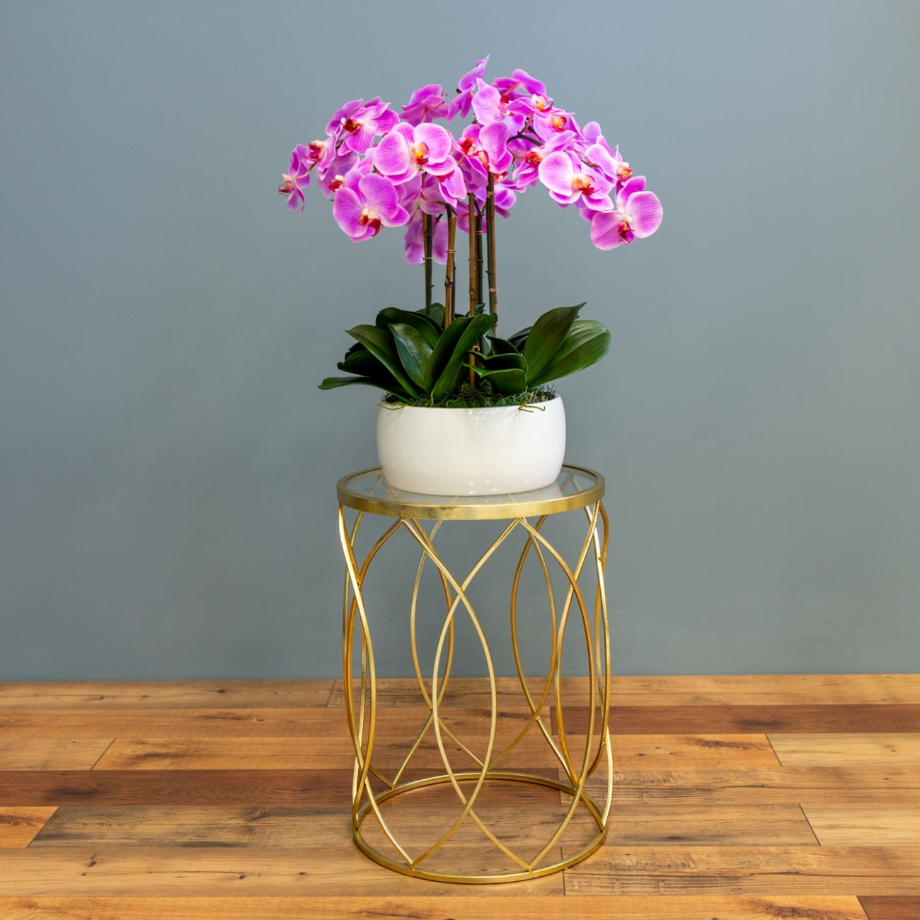 Pink Phalaenopsis Orchids – White Vase