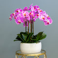 Load image into Gallery viewer, Pink Phalaenopsis Orchids – White Vase
