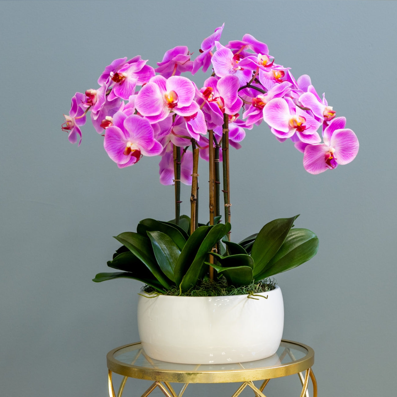 Pink Phalaenopsis Orchids – White Vase