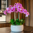 Load image into Gallery viewer, Pink Phalaenopsis Orchids – White Vase
