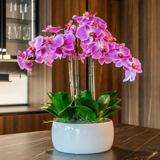 Pink Phalaenopsis Orchids – White Vase