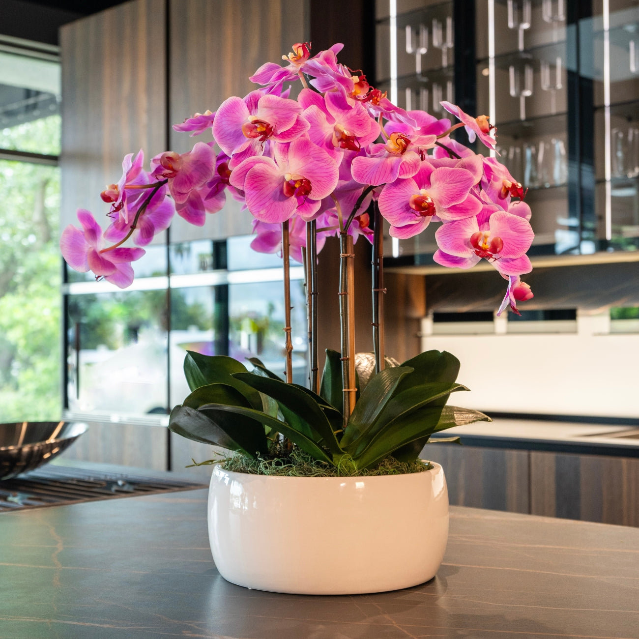 Pink Phalaenopsis Orchids – White Vase