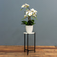 Load image into Gallery viewer, White Orchids - White Planter
