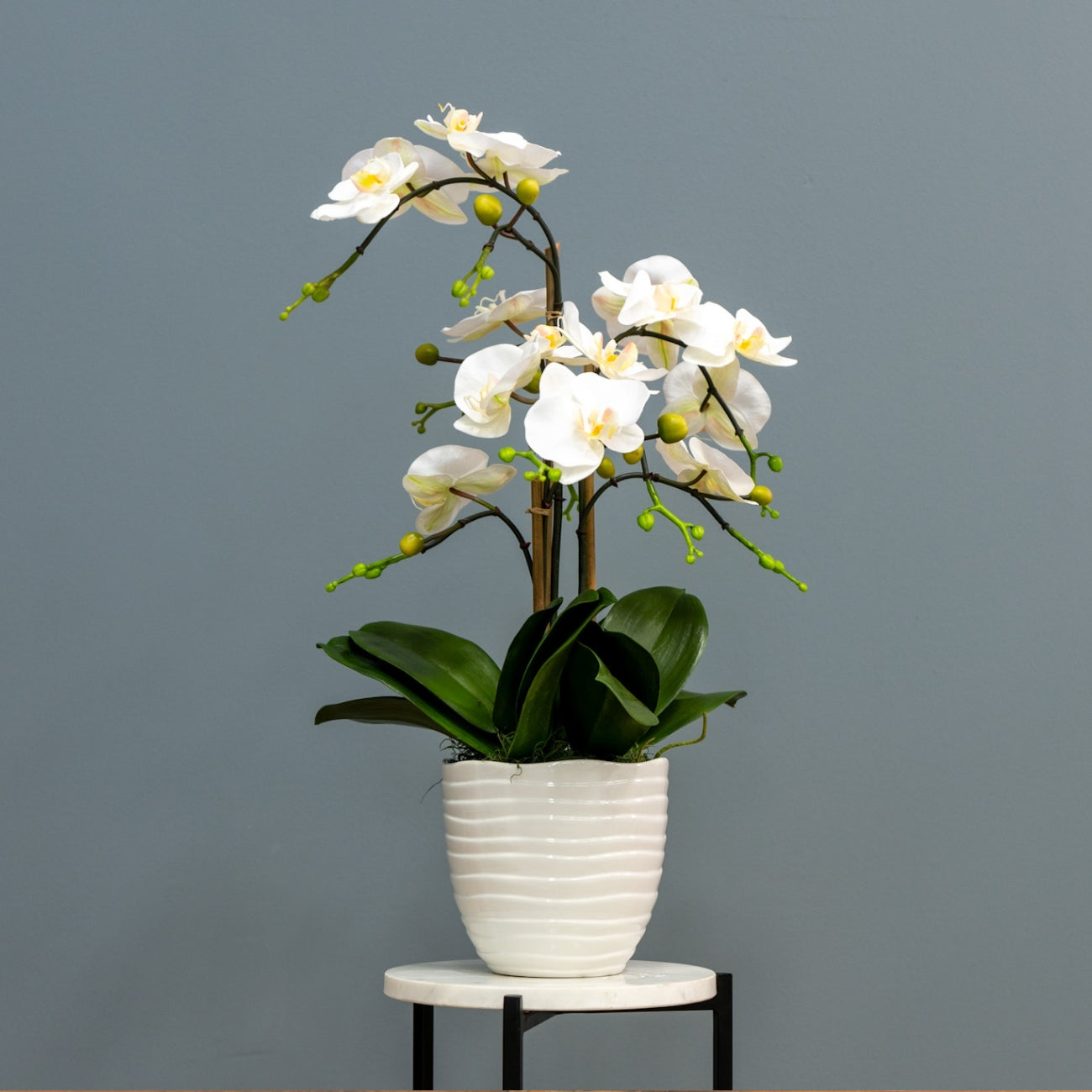 White Orchids - White Planter