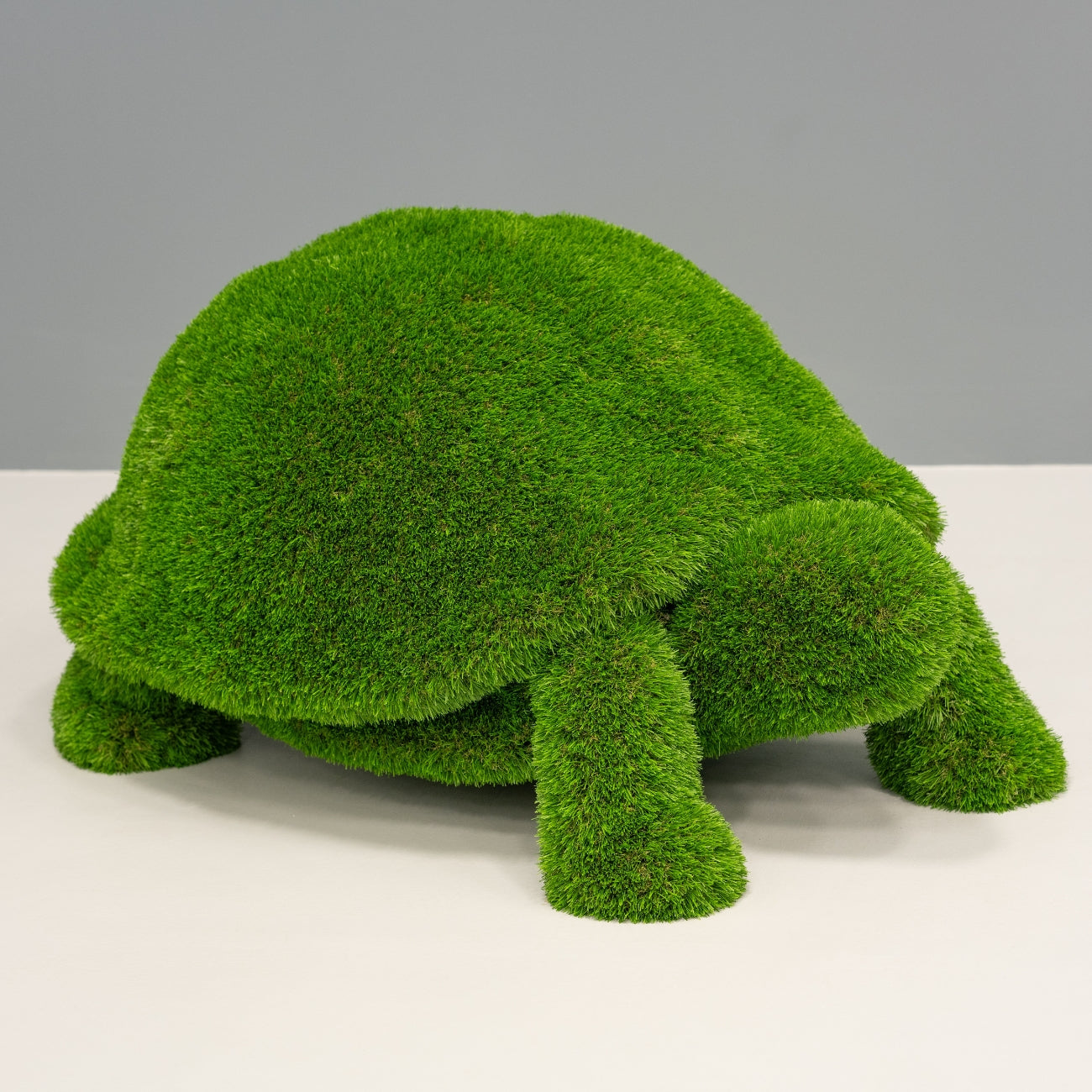 Turf Tortoise