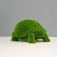 Load image into Gallery viewer, Turf Tortoise
