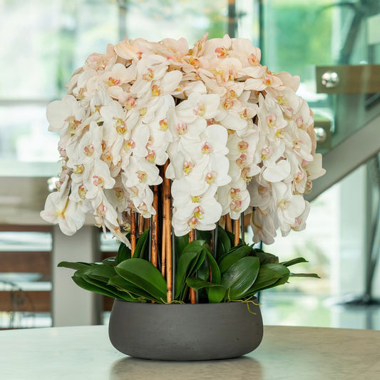 White Orchid Arrangement