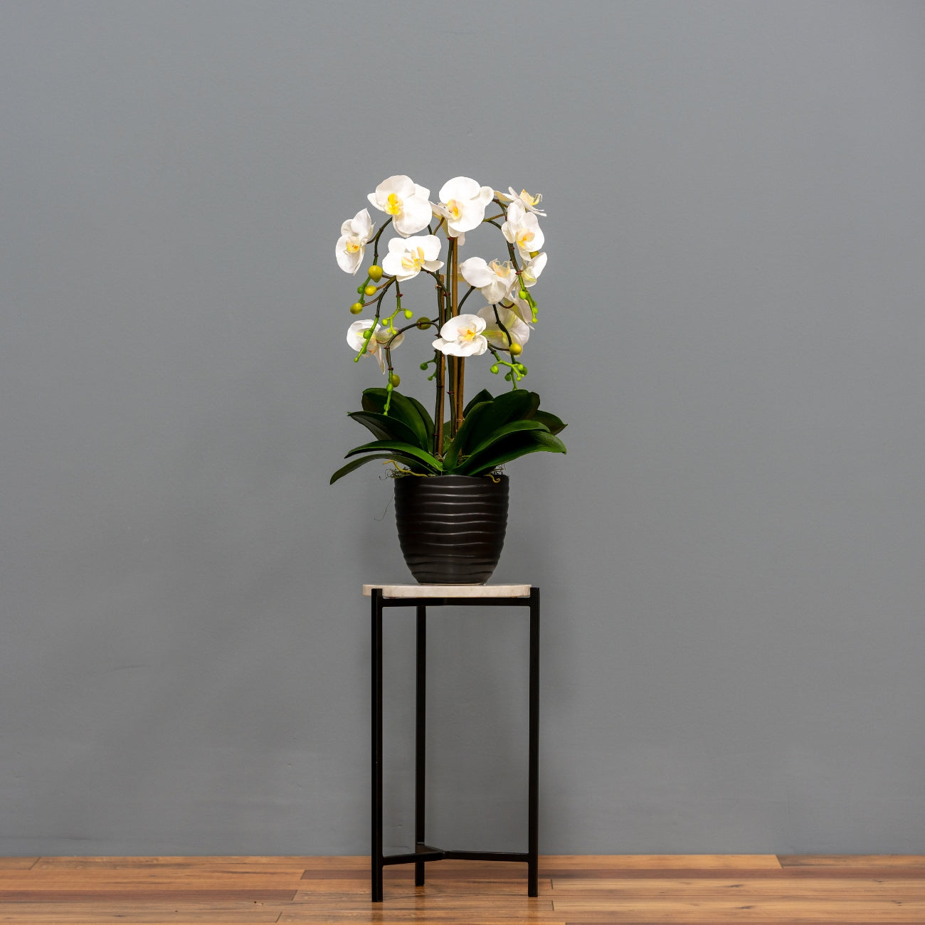 White Orchids - Black Planter