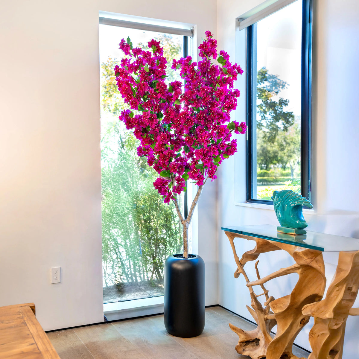 Fuchsia Bougainvillea Tree
