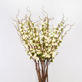 Load image into Gallery viewer, Cherry Blossom Arrangement
