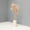 Cherry Blossom Tree + Planter