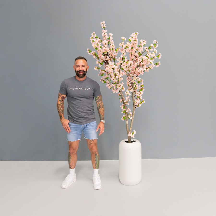 Cherry Blossom Tree + Planter