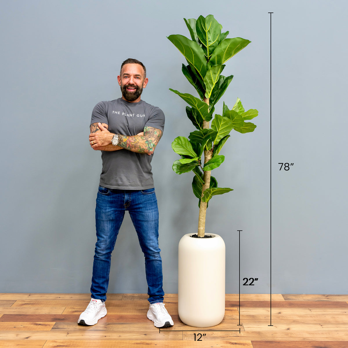 fiddle.leaf fig plant Fiddle Leaf Tree Satin Beige