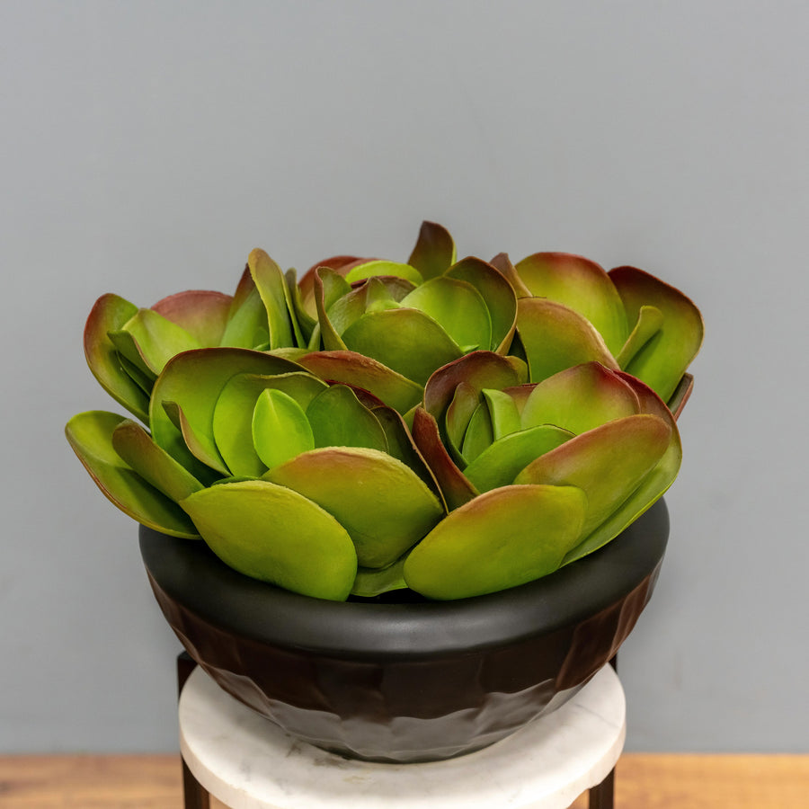 The Jade Crest