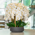 Load image into Gallery viewer, White Orchid Arrangement
