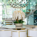 White Orchid Arrangement