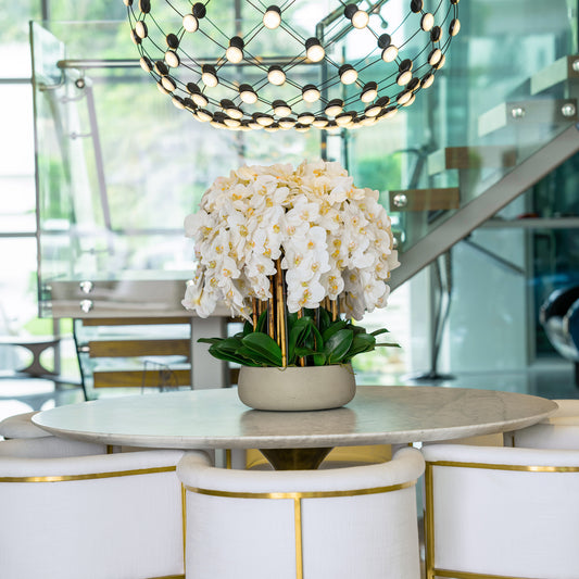 White Orchid Arrangement