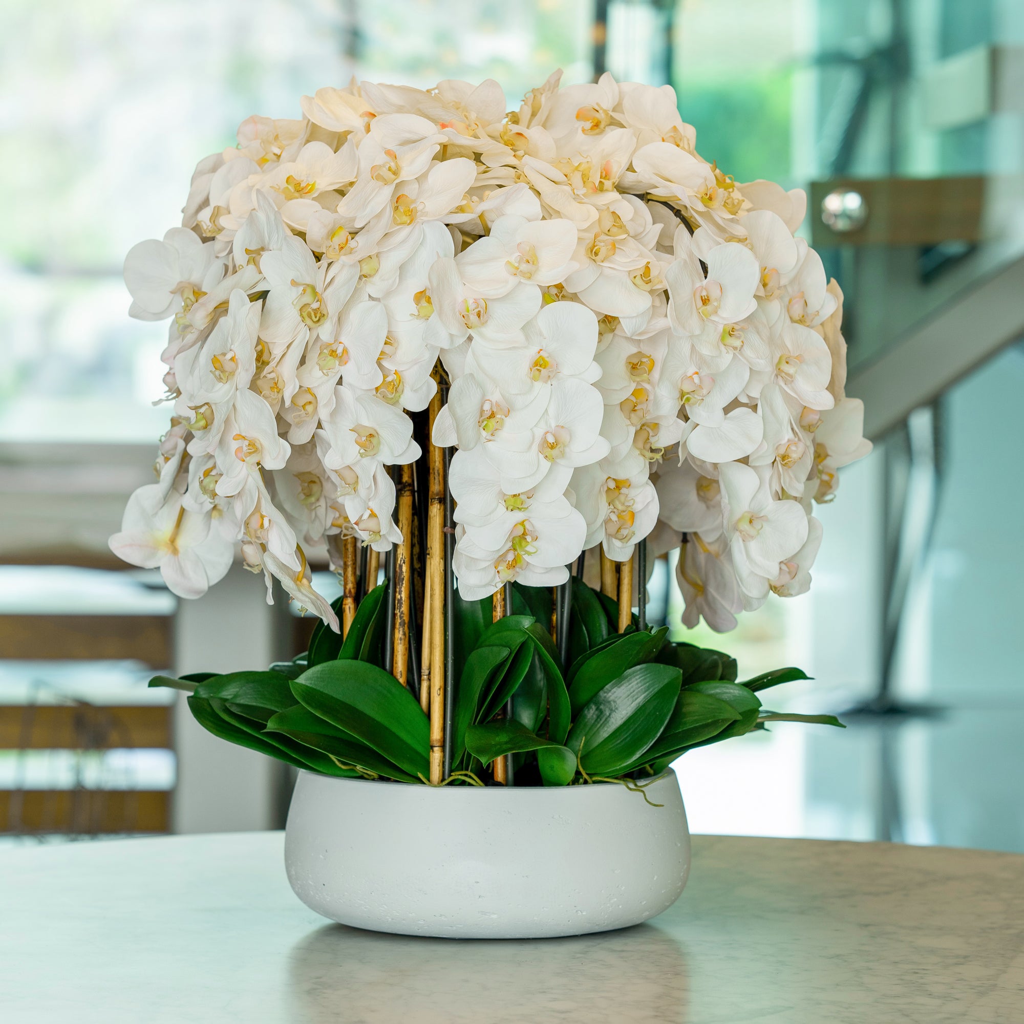 White Orchid Arrangement