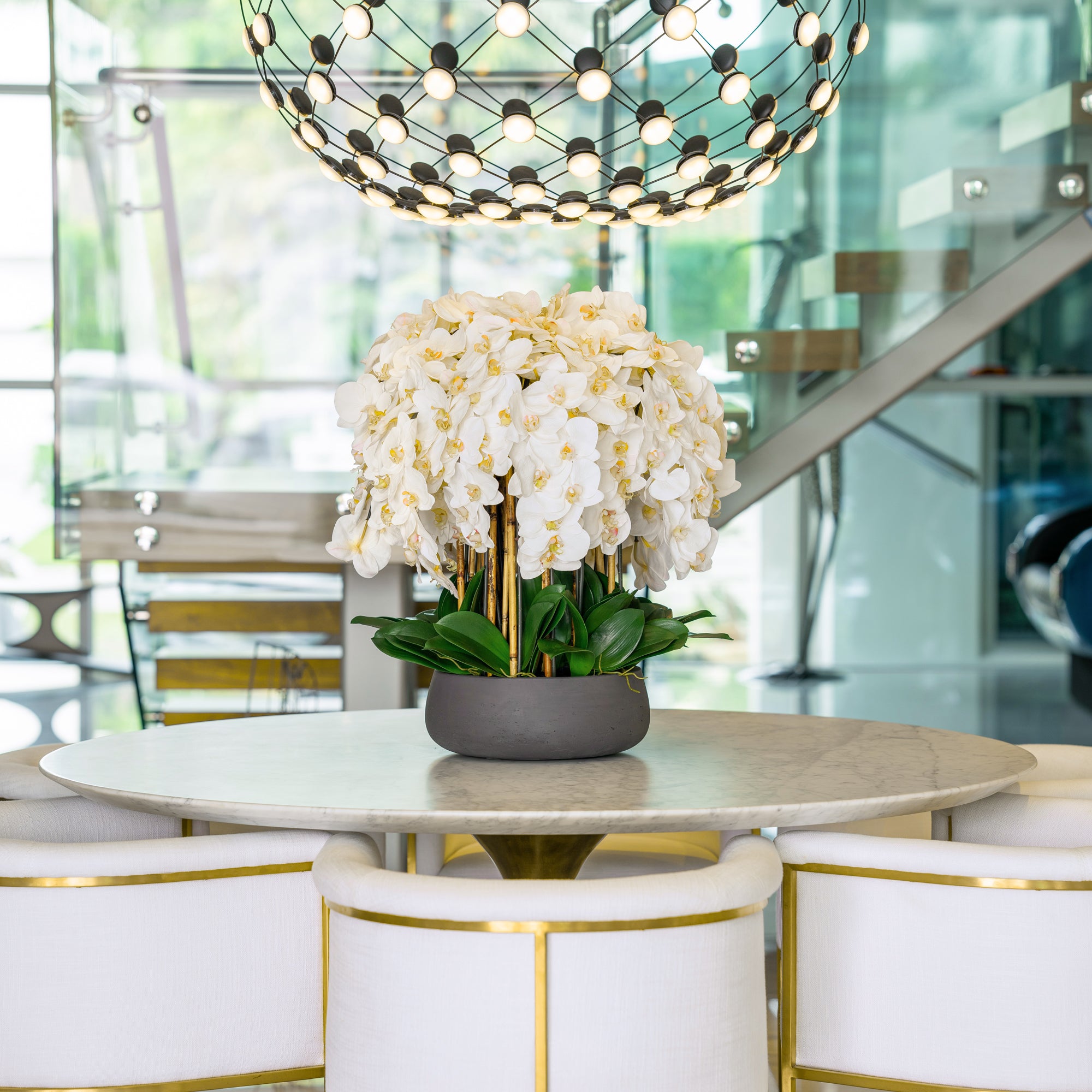 White Orchid Arrangement