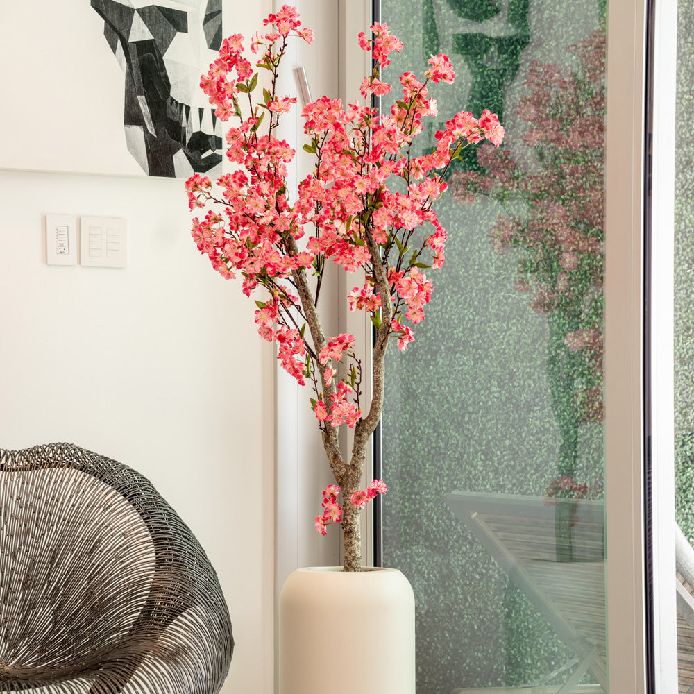 Hot Pink Cherry Blossom Tree + Planter