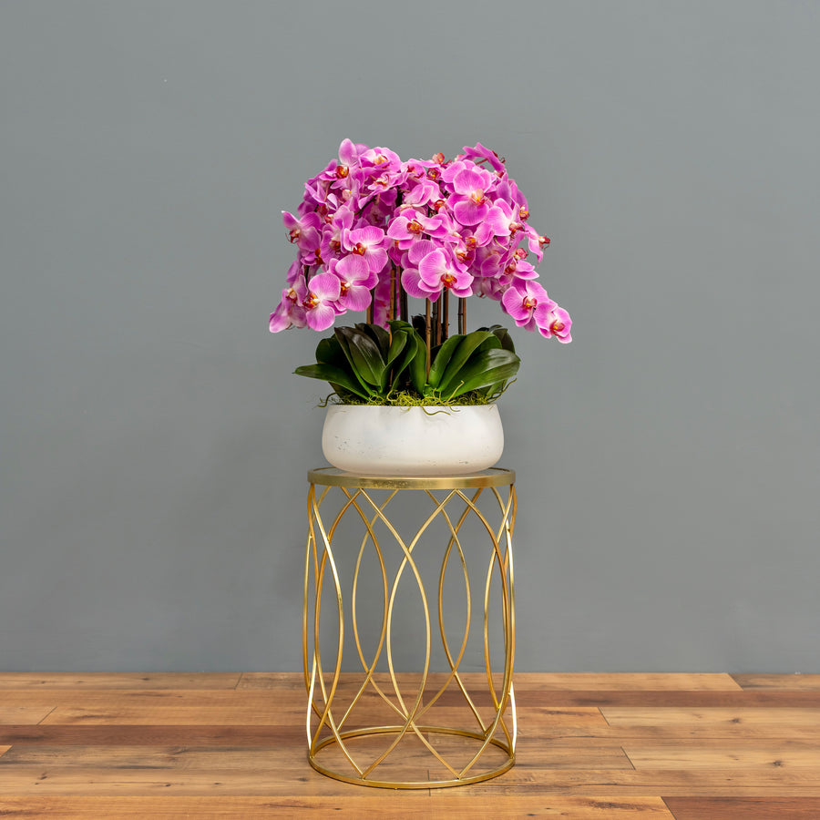 Airy Pink Orchid Arrangement