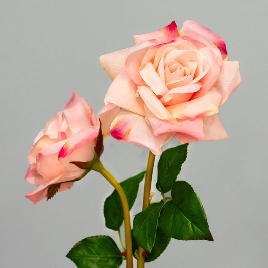 Real Feel Pink Rose