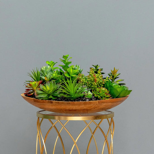 Wooden Oasis Succulent Bowl