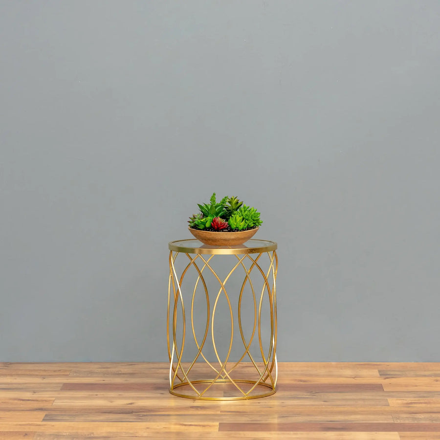 Wooden Oasis Succulent Bowl